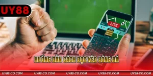 Hướng dẫn cách đọc kèo bóng đá